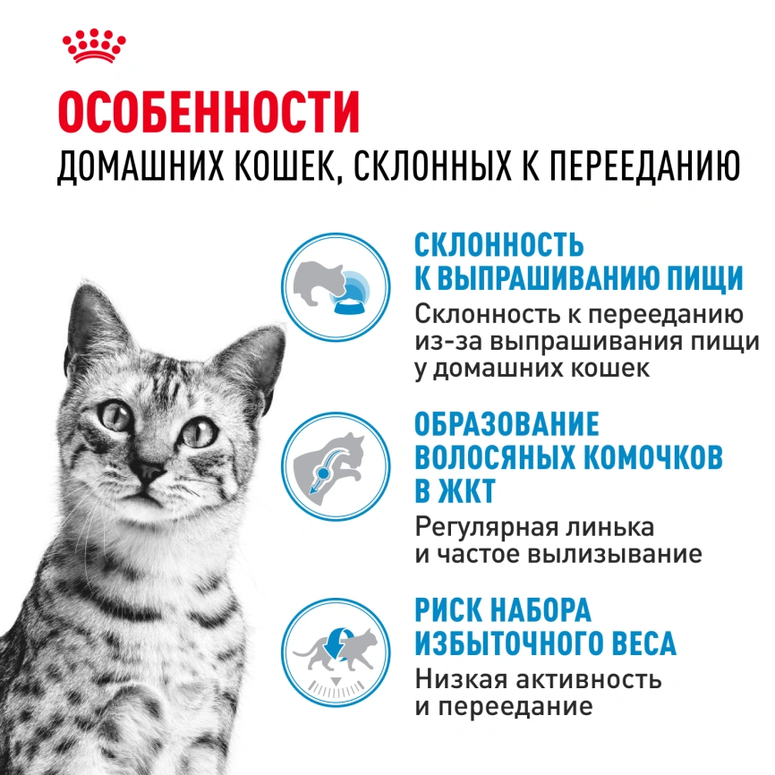 Сухой корм Royal Canin Indoor Appetite Control для кошек, 2 кг фото 2