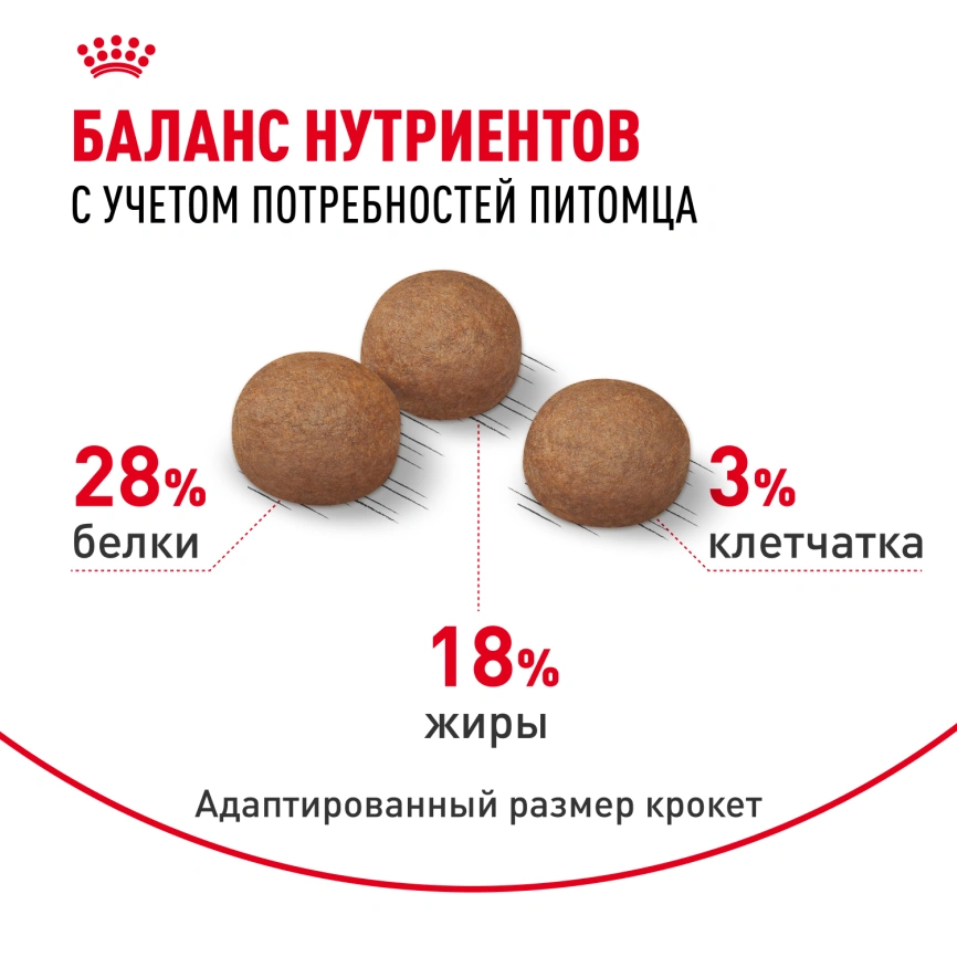 Сухой корм Royal Canin Maxi Digestive Care для собак, 12 кг фото 4