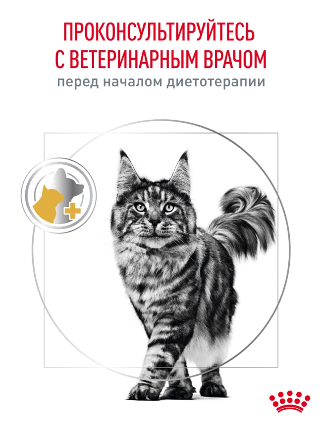 Сухой корм Royal Canin Urinary S/O для кошек при мочекаменной болезни, 7 кг фото 19