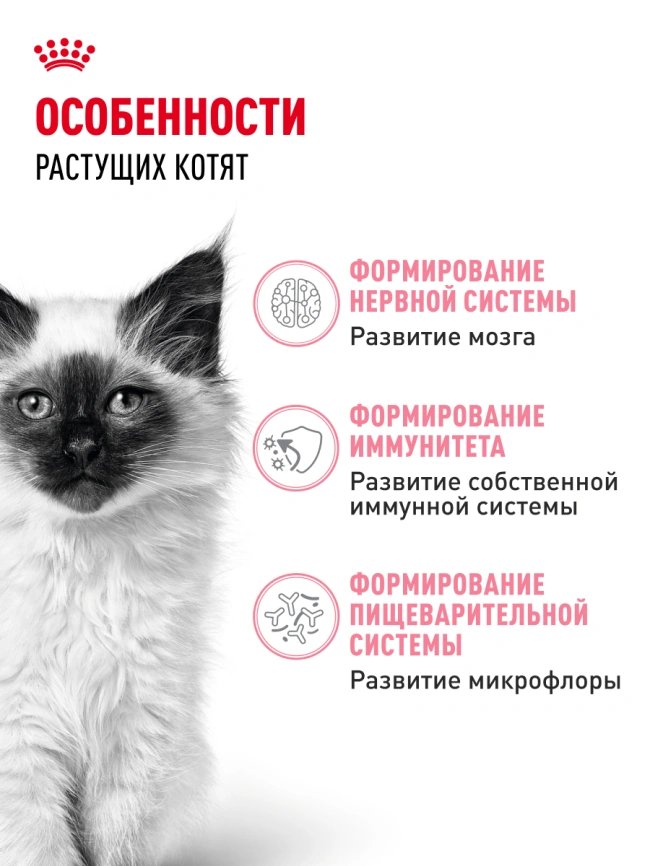 Сухой корм Royal Canin Kitten для котят, 300 г фото 20