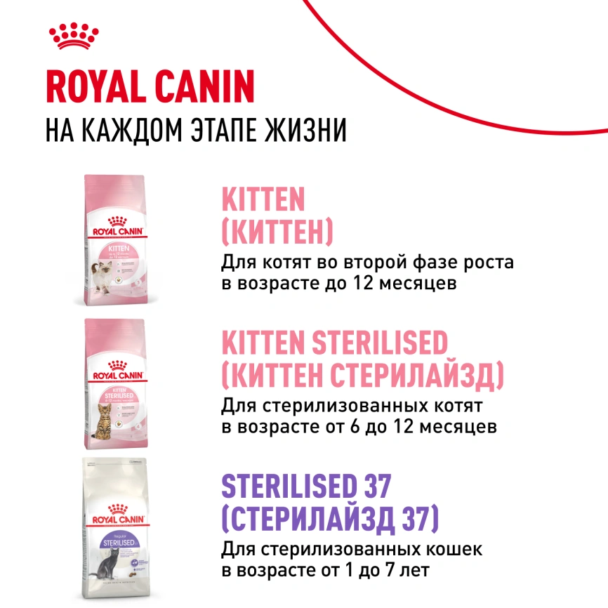 Сухой корм Royal Canin Kitten Sterilised для котят, 400 г фото 9