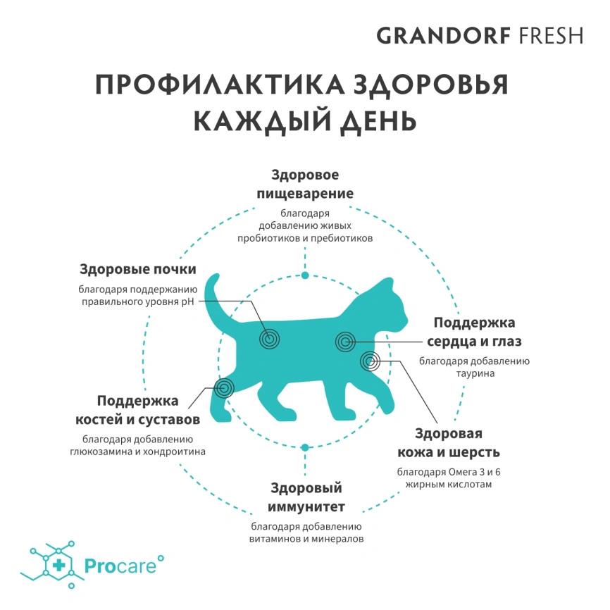 Сухой корм Grandorf Fresh Cat для котят беременных или кормящих кошек ягненок с бататом 2 кг фото 4