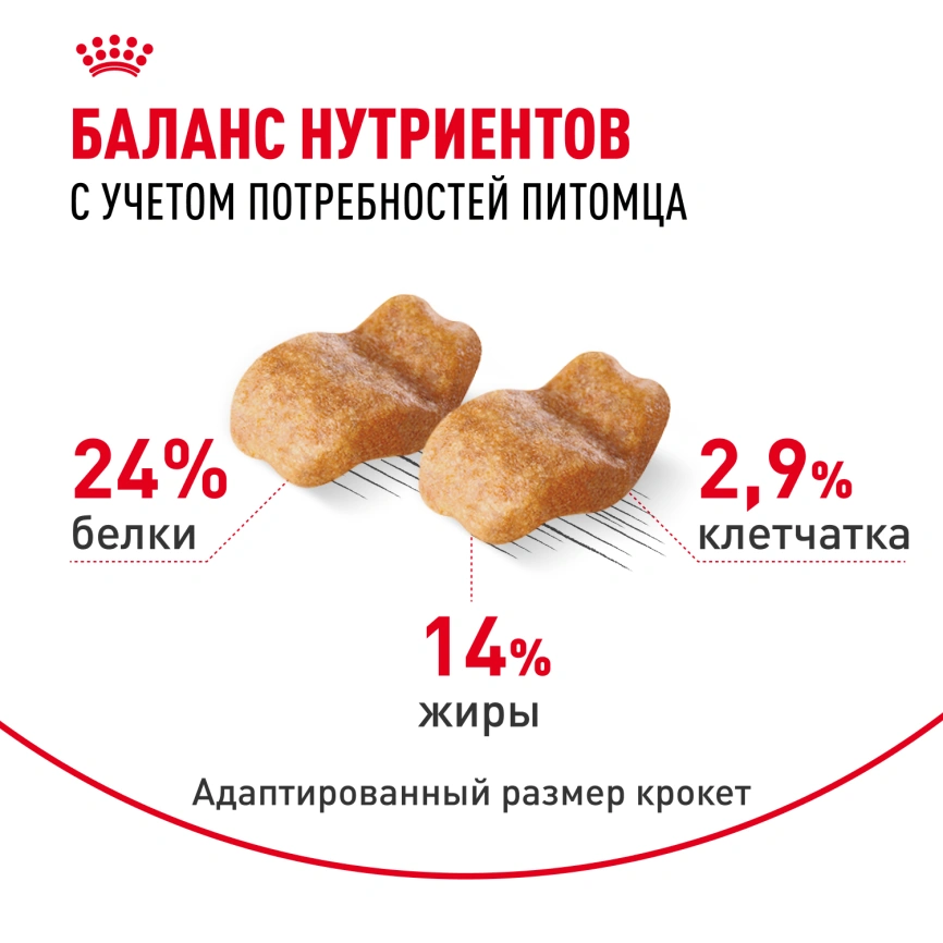 Сухой корм Royal Canin Bulldog Adult для собак породы английский бульдог, 3 кг фото 4