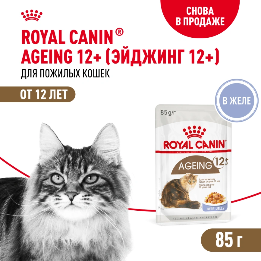 Влажный корм Royal Canin Ageing 12+ в желе для стареющих кошек старше 12 лет, пауч, 85 г фото 1