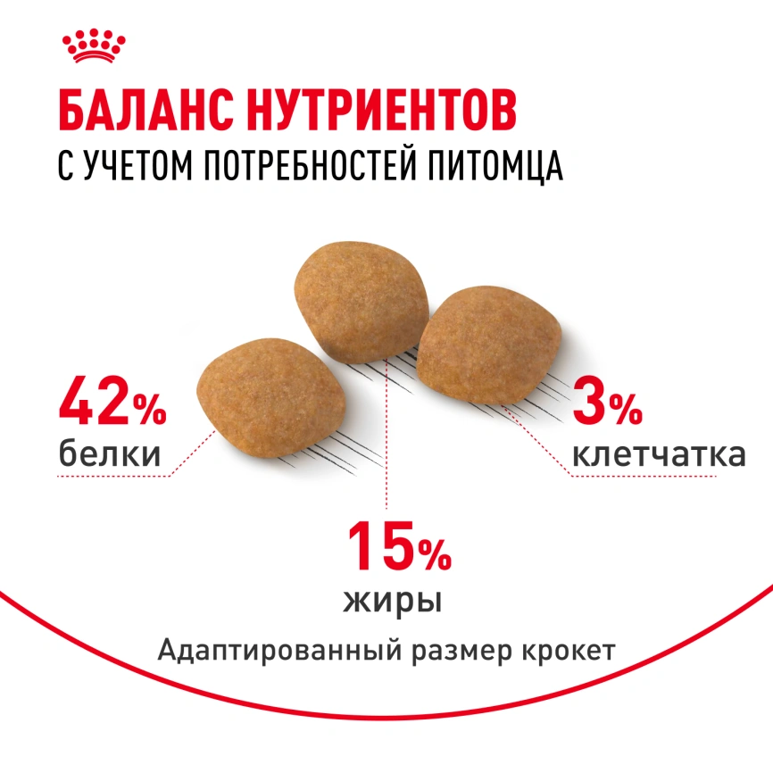 Сухой корм Royal Canin Protein Exigent для кошек, фото 4