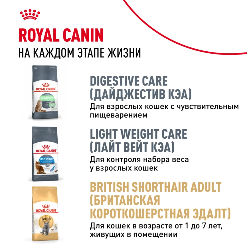 Сухой корм Royal Canin Kitten British Shorthair для котят, 10 кг фото 10
