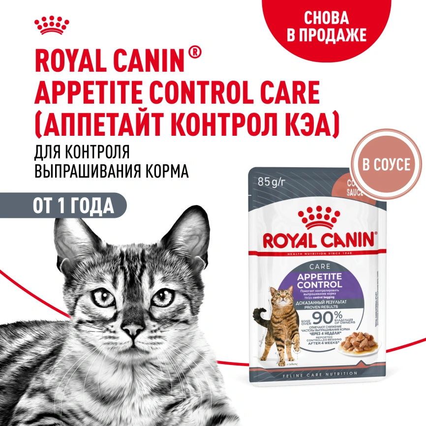 Влажный корм Royal Canin Appetite Control Care в соусе для взрослых кошек, для контроля выпрашивания корма, пауч, 85 г фото 13