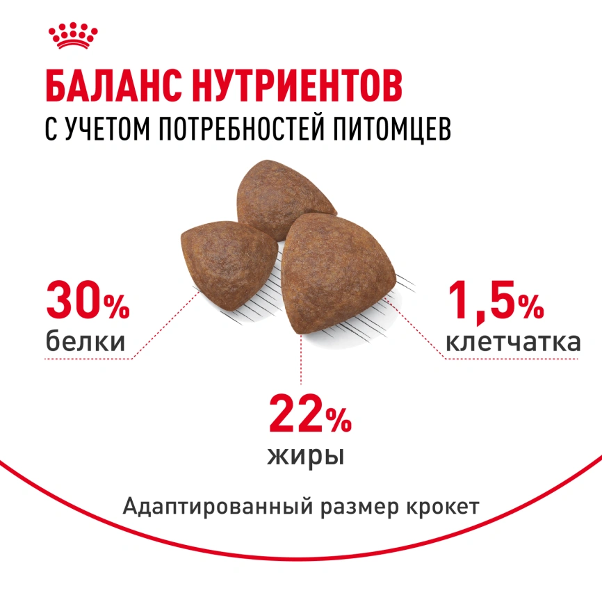 Сухой корм Royal Canin Medium Starter Mother &amp; Babydog для щенков и кормящих сук, 4 кг фото 4