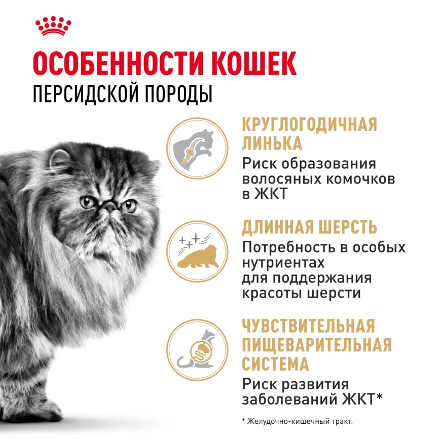 Сухой корм Royal Canin Persian для кошек персидской породы, 2 кг фото 2