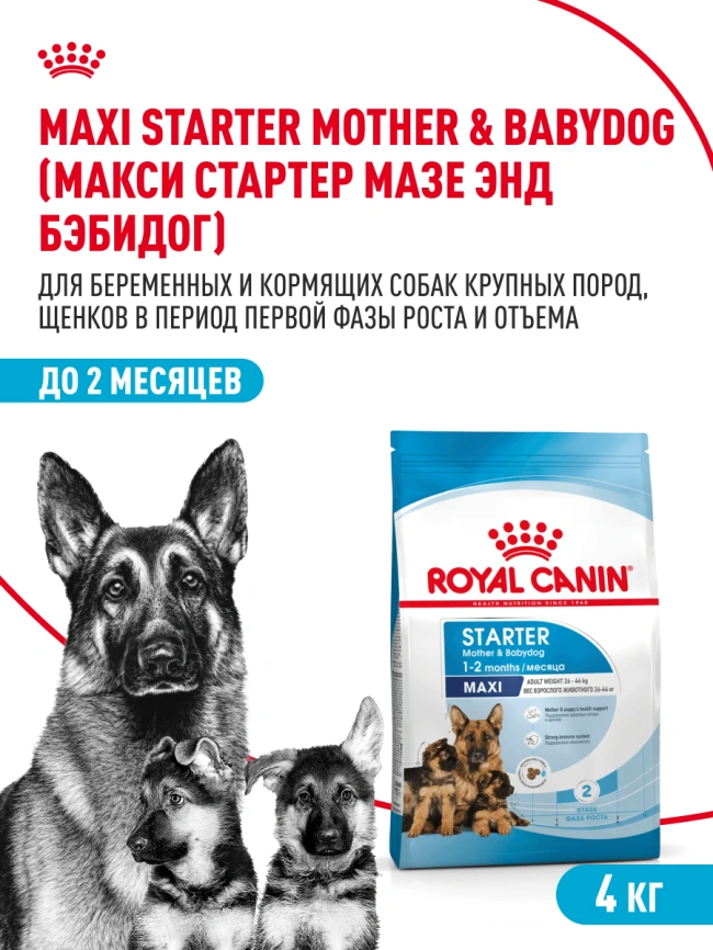 Сухой корм Royal Canin Maxi Starter Mother &amp; Babydog для собак, 4 кг фото 18