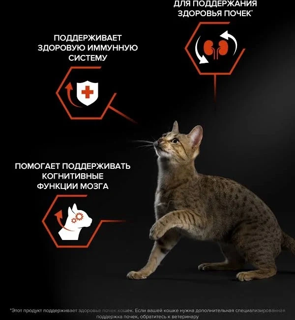Сухой корм PRO PLAN Salmon для взрослых кошек, с высоким содержанием лосося, 1,5 кг фото 3