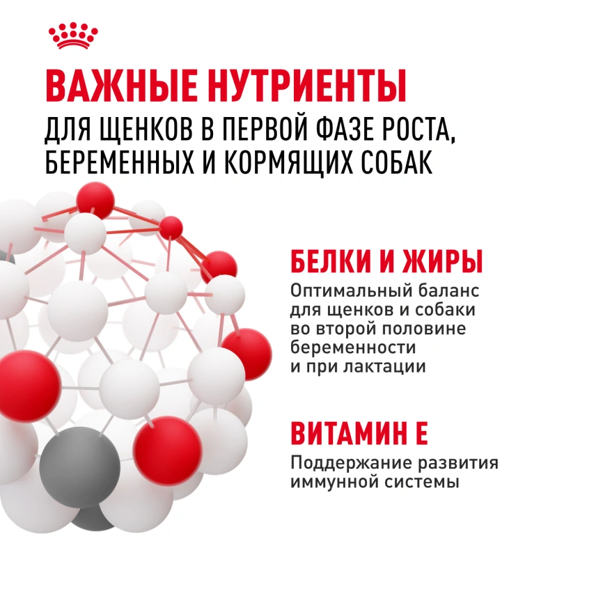 Сухой корм Royal Canin Medium Starter Mother &amp; Babydog для щенков и кормящих сук, 4 кг фото 5