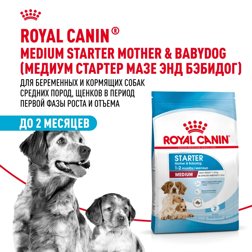 Сухой корм Royal Canin Medium Starter Mother &amp; Babydog для щенков и кормящих сук, 4 кг фото 11
