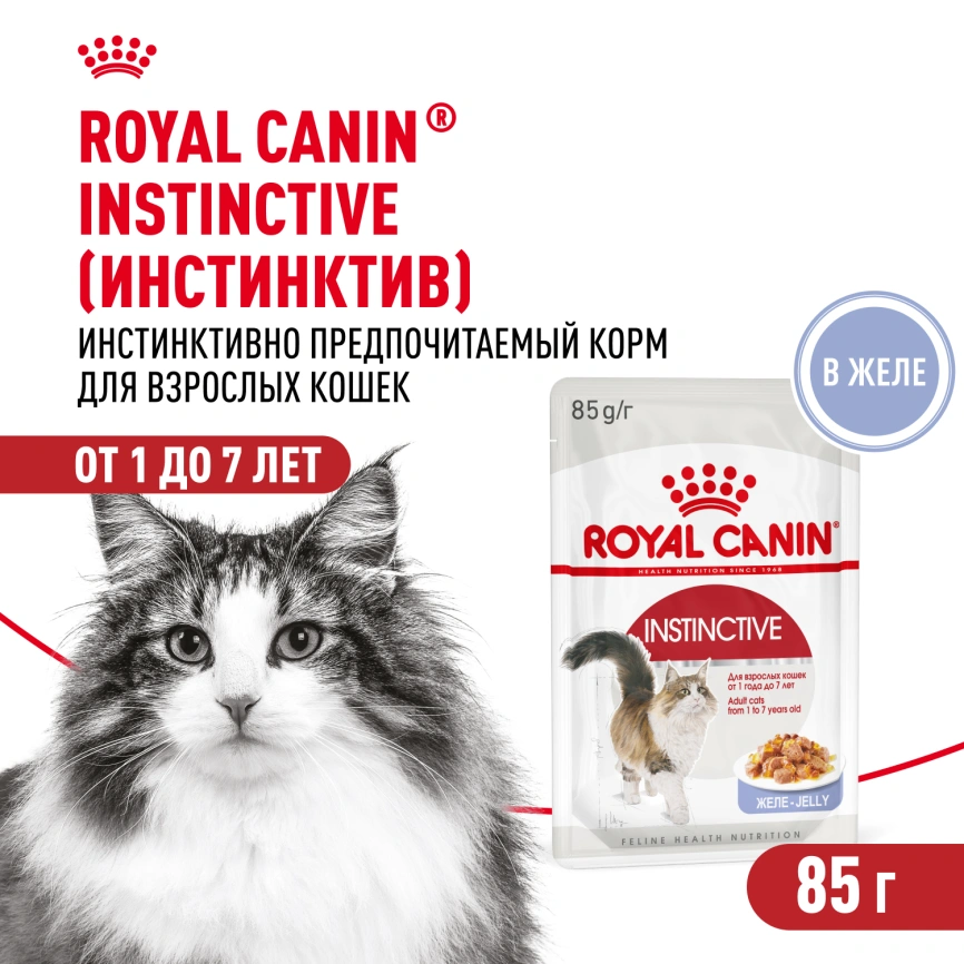Влажный корм Royal Canin Instinctive в желе для взрослых кошек старше 1 года, пауч, 85 г фото 1