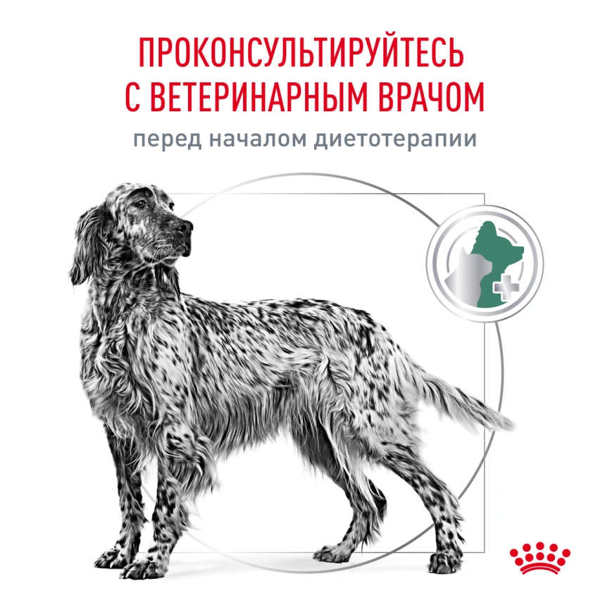 Сухой корм Royal Canin Diabetic для собак, 12 кг фото 7