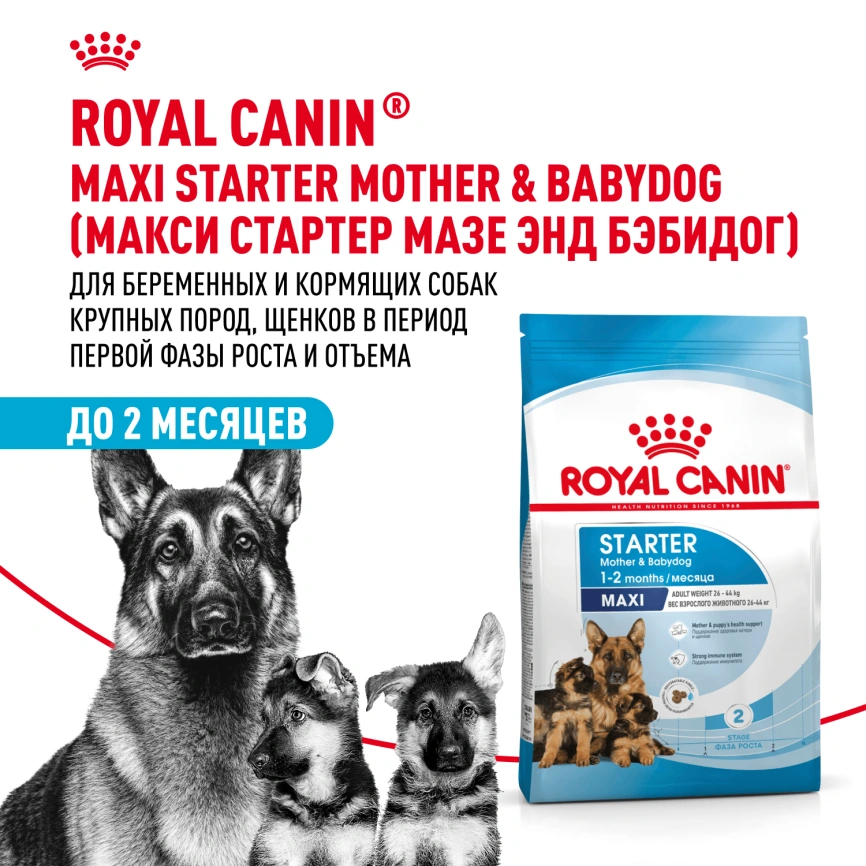 Сухой корм Royal Canin Maxi Starter Mother &amp; Babydog для собак, 4 кг фото 1