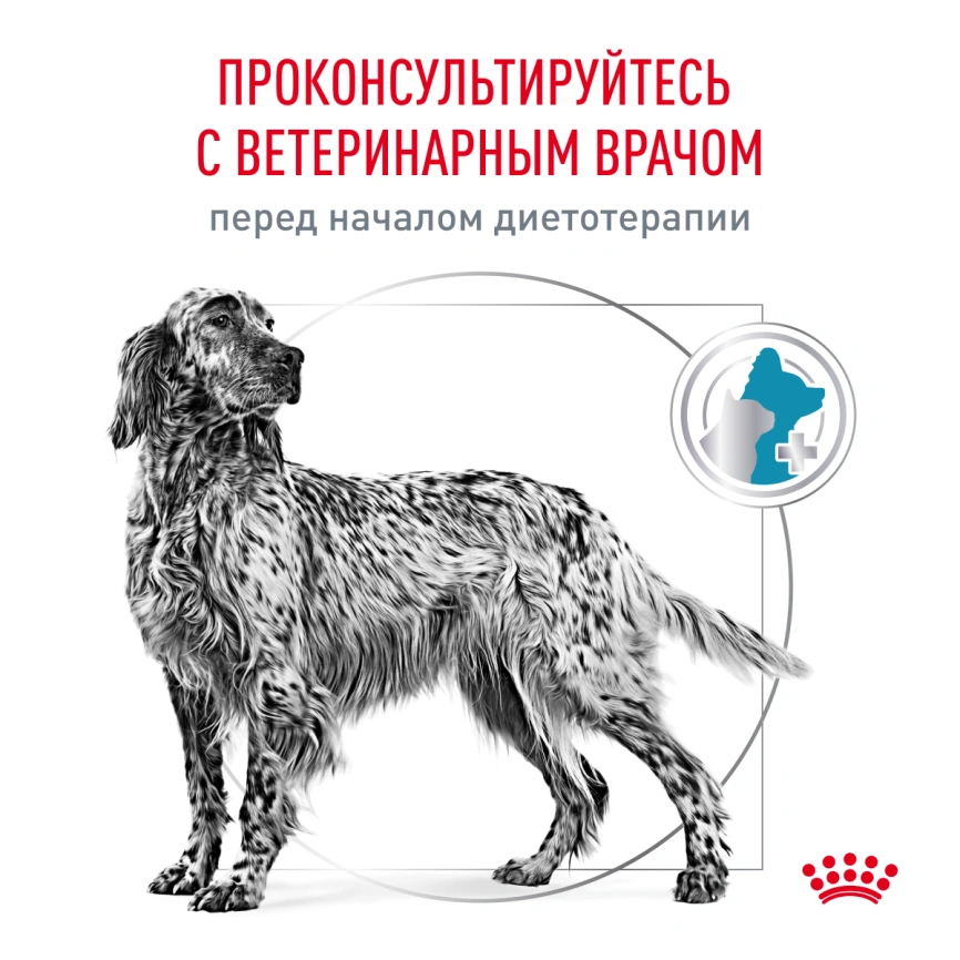 Сухой корм Royal Canin Hypoallergenic для собак, 14 кг фото 7