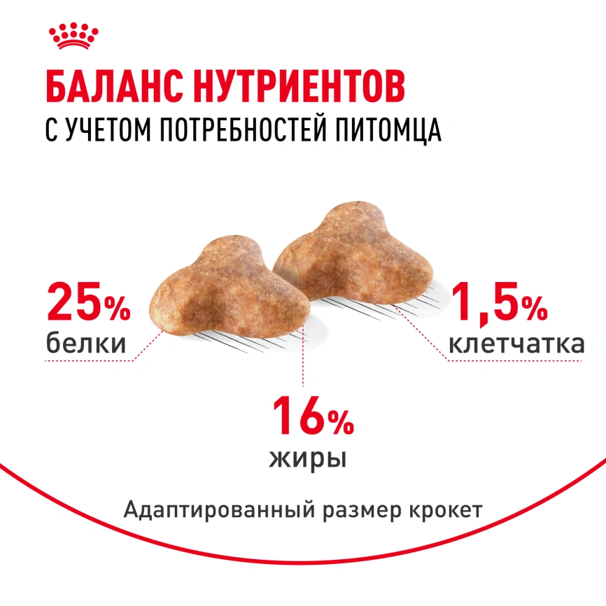 Сухой корм Royal Canin Pug Adult для взрослых собак, 500 г фото 4