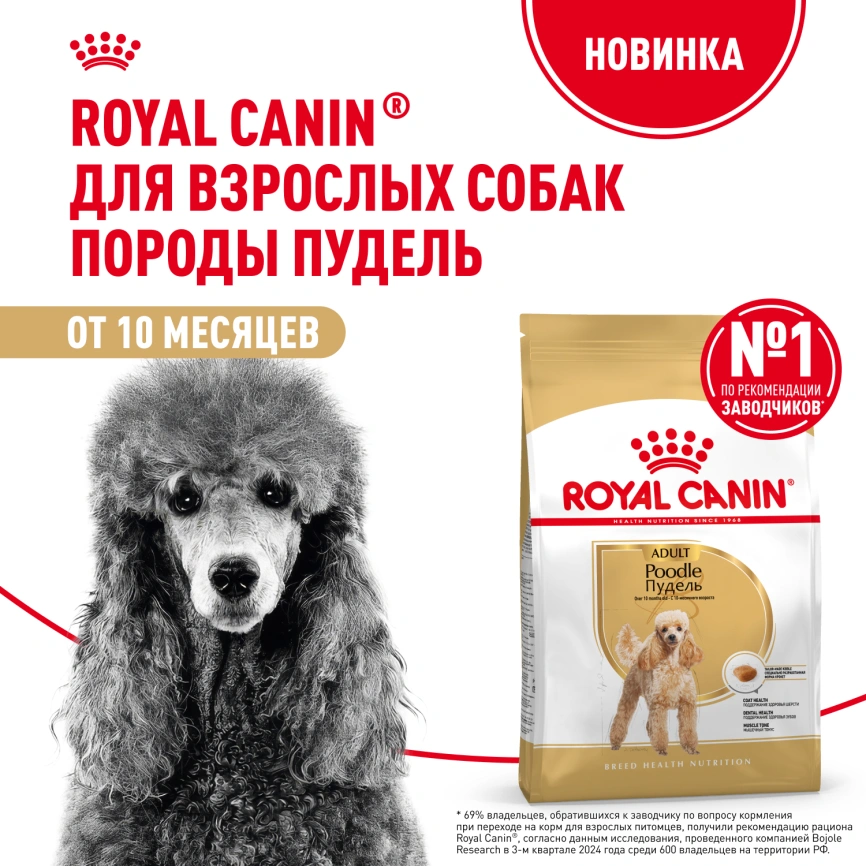 Сухой корм Royal Canin Poodle Adult для взрослых собак, 1.5 кг фото 12