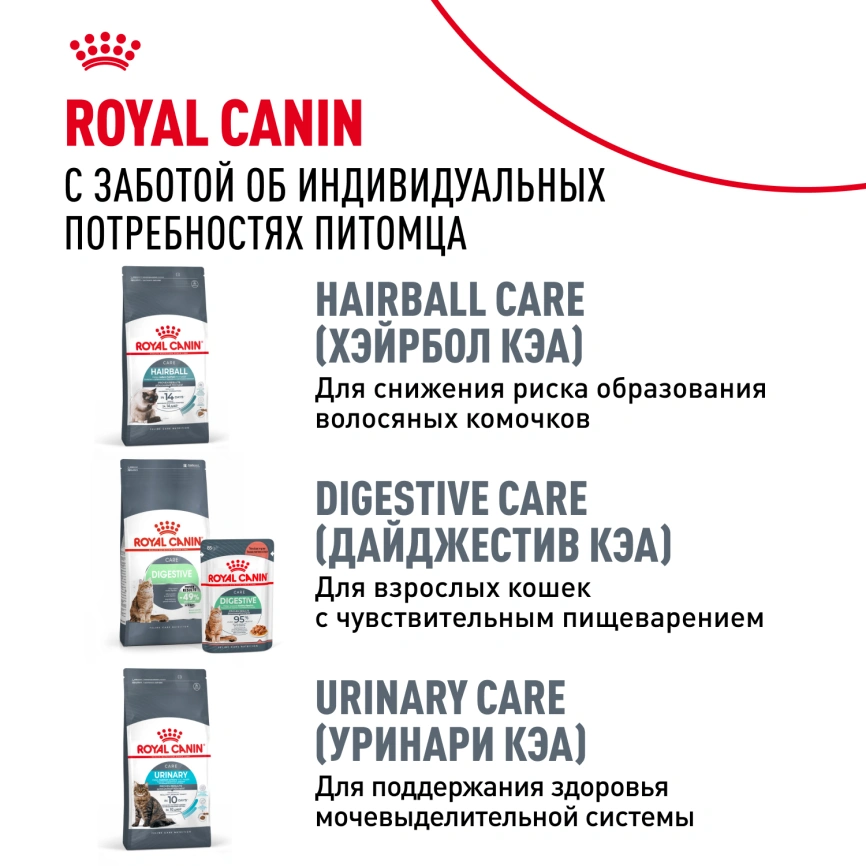 Сухой корм Royal Canin Hair & Skin Care для кошек, 400 г фото 10