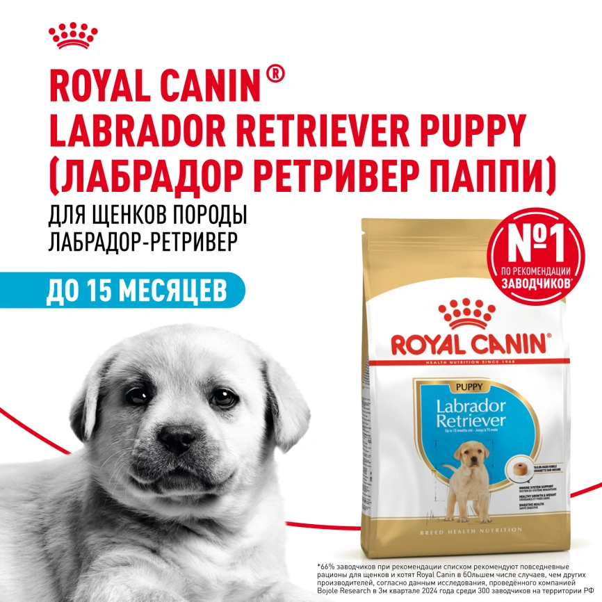 Сухой корм Royal Canin Labrador Retriever Puppy для щенков, 12 кг фото 14