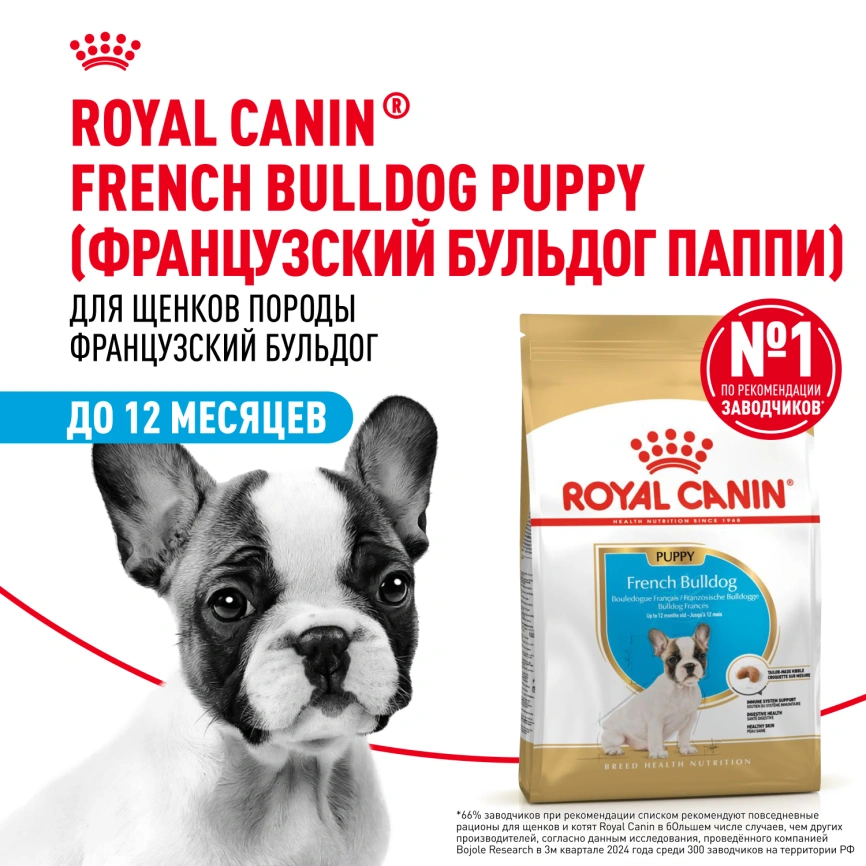 Сухой корм Royal Canin French Bulldog Puppy для щенков, 10 кг фото 12