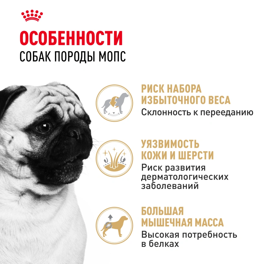 Сухой корм Royal Canin Pug Adult для взрослых собак, 7.5 кг фото 2