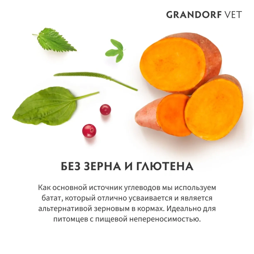 Сухой корм Grandorf Veterinary Renal для собак при поддержании функции почек, 1 кг фото 4