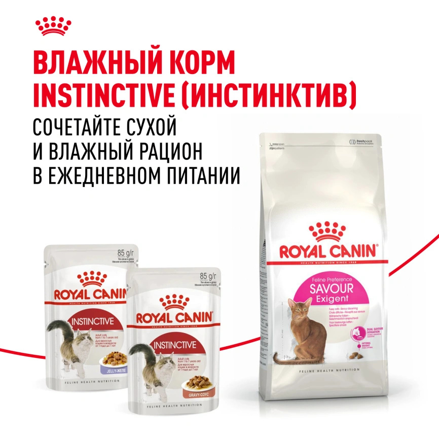 Сухой корм Royal Canin Savour Exigent для кошек, 4 кг фото 9