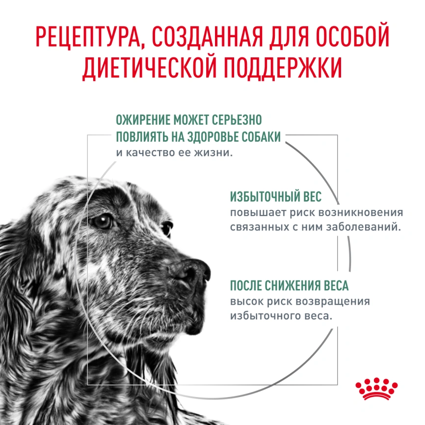 Сухой корм Royal Canin Satiety Weight Management для собак для снижение веса, 1,5 кг фото 2