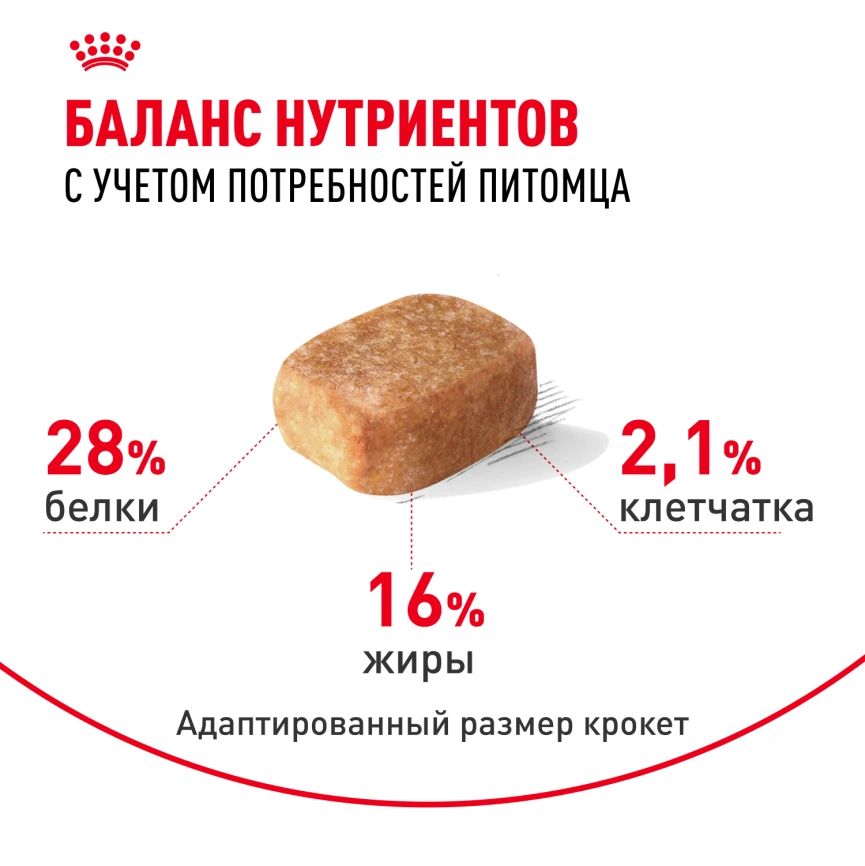 Сухой корм Royal Canin Chihuahua Adult для собак породы чихуахуа, 1.5 кг фото 4