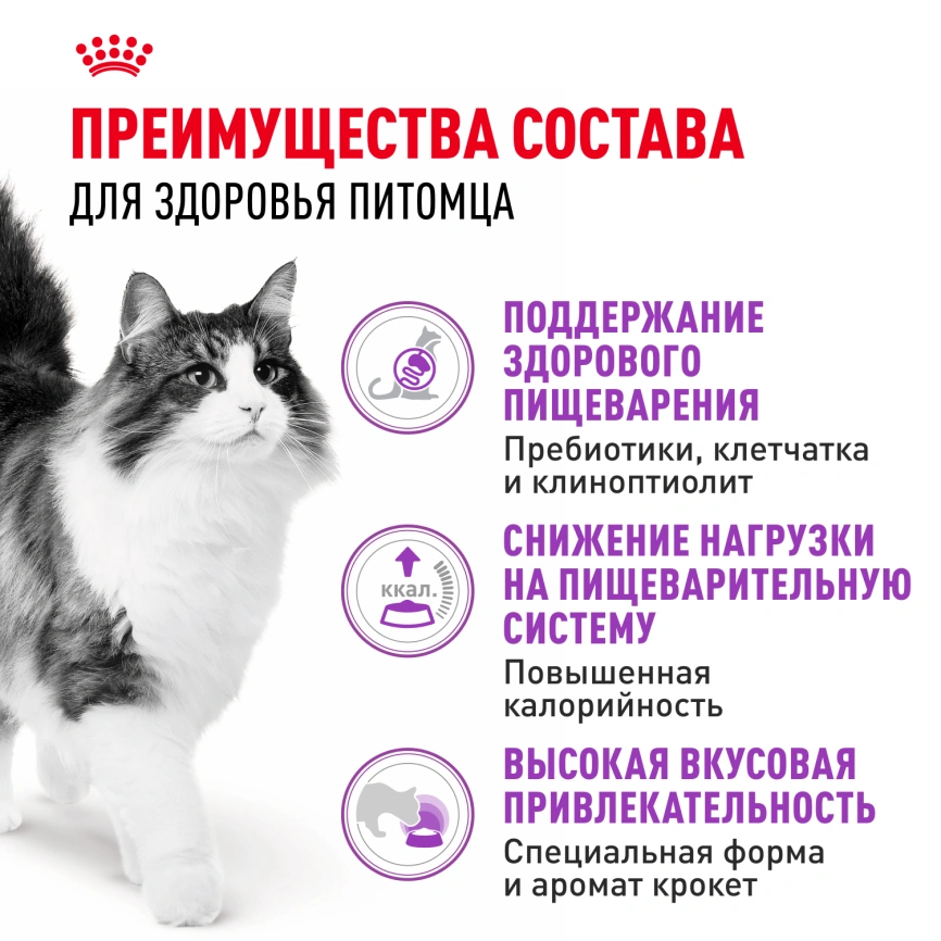 Сухой корм Royal Canin Sensible для кошек, 1.2 кг фото 4