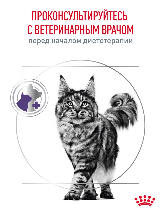 Сухой корм Royal Canin Neutered Satiety Balance для кастрированных котов и стерилизованных кошек до 7 лет, 3.5 кг фото 21