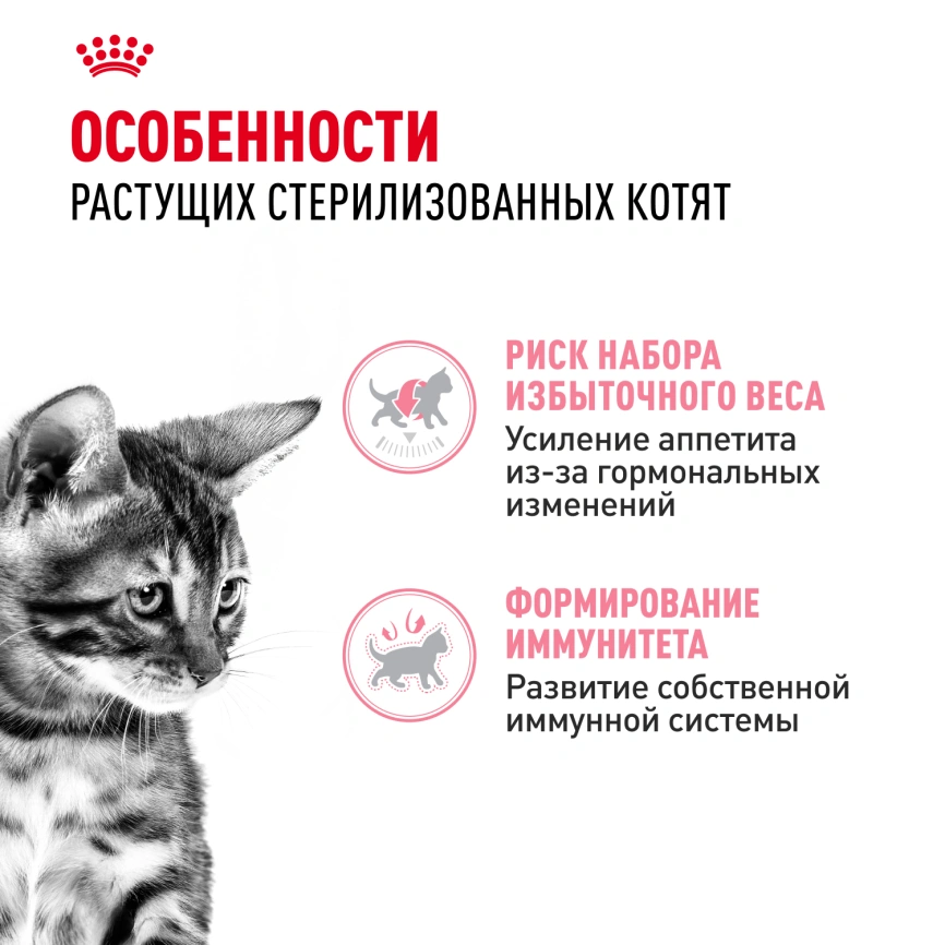 Влажный корм Royal Canin Kitten Sterilised в соусе для стерилизованных котят до 12 месяцев, пауч, 85 г фото 2