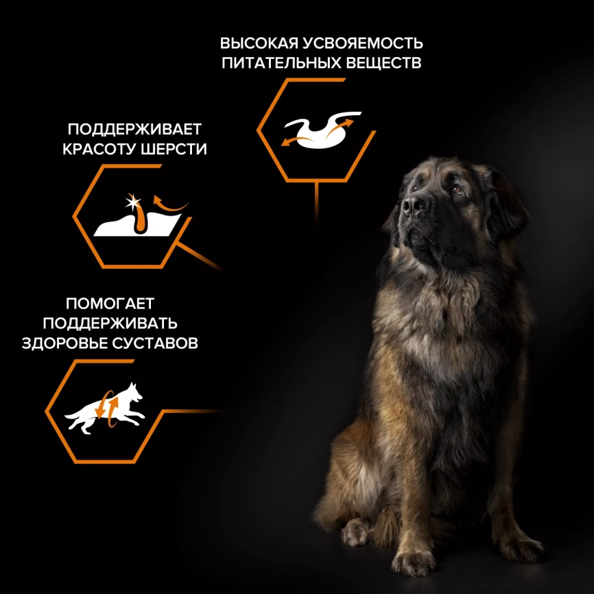 Сухой корм PRO PLAN Chicken для взрослых собак крупных пород с мощным телосложением, с высоким содержанием курицы, 14 кг фото 2