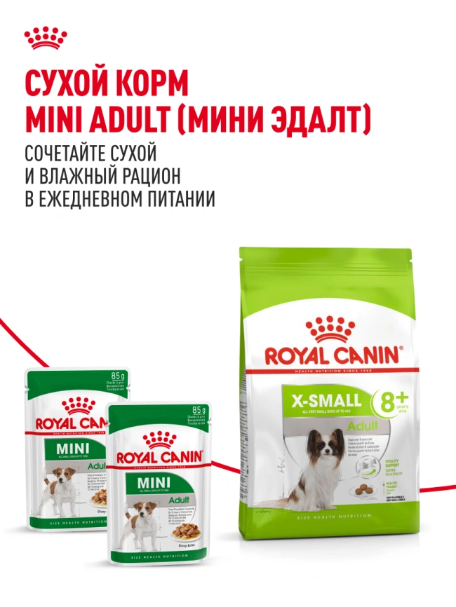 Сухой корм Royal Canin X-Small Adult для собак, 500 г фото 20