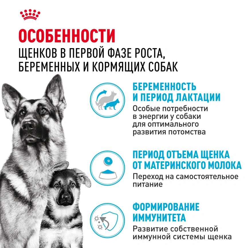 Сухой корм Royal Canin Maxi Starter Mother & Babydog для собак, 15 кг фото 9