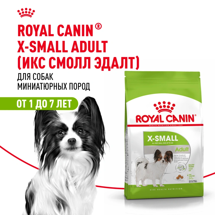 Сухой корм Royal Canin X-Small Adult для собак, 3 кг фото 23