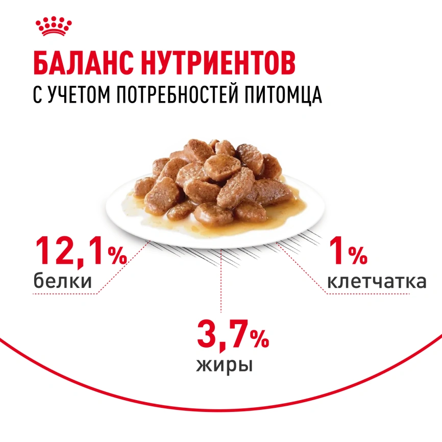 Влажный корм Royal Canin Hair &amp; Skin Care в соусе для взрослых кошек старше 1 года, пауч, 85 г фото 5