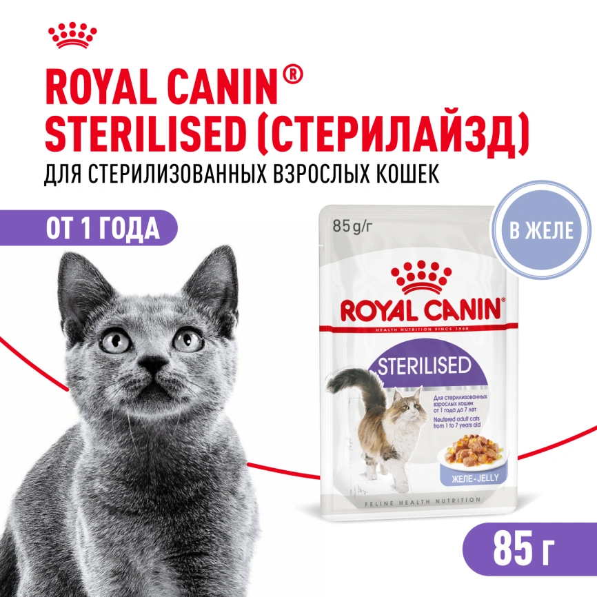 Влажный корм Royal Canin Sterilised в желе для стерилизованных кошек старше 1 года, пауч, 85 г фото 1