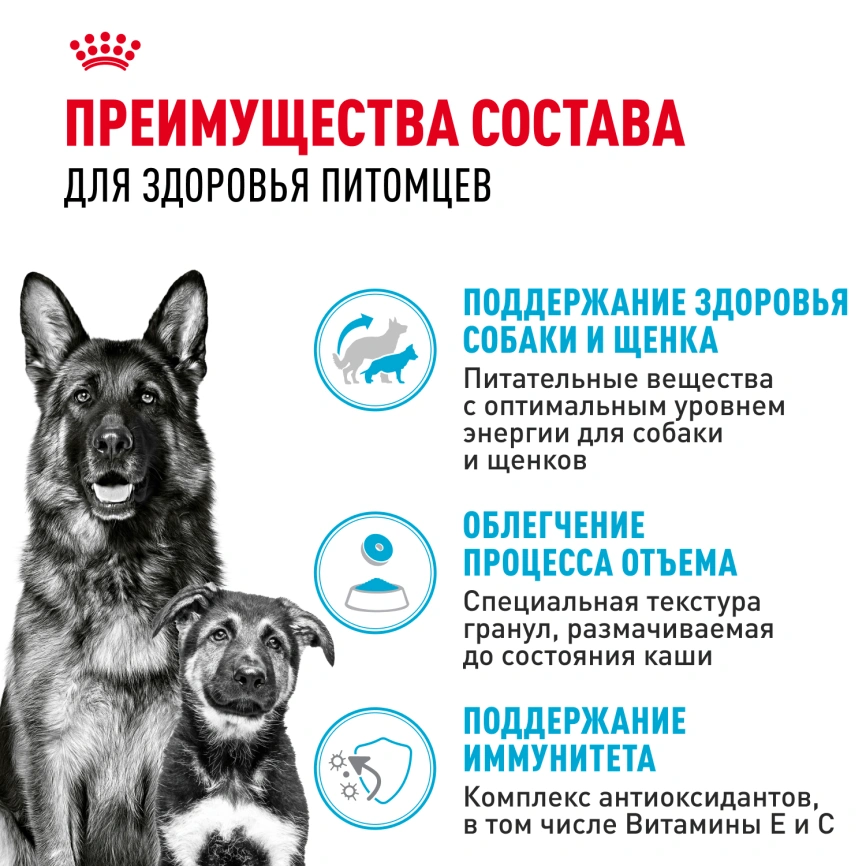 Сухой корм Royal Canin Maxi Starter Mother &amp; Babydog для собак, 4 кг фото 9