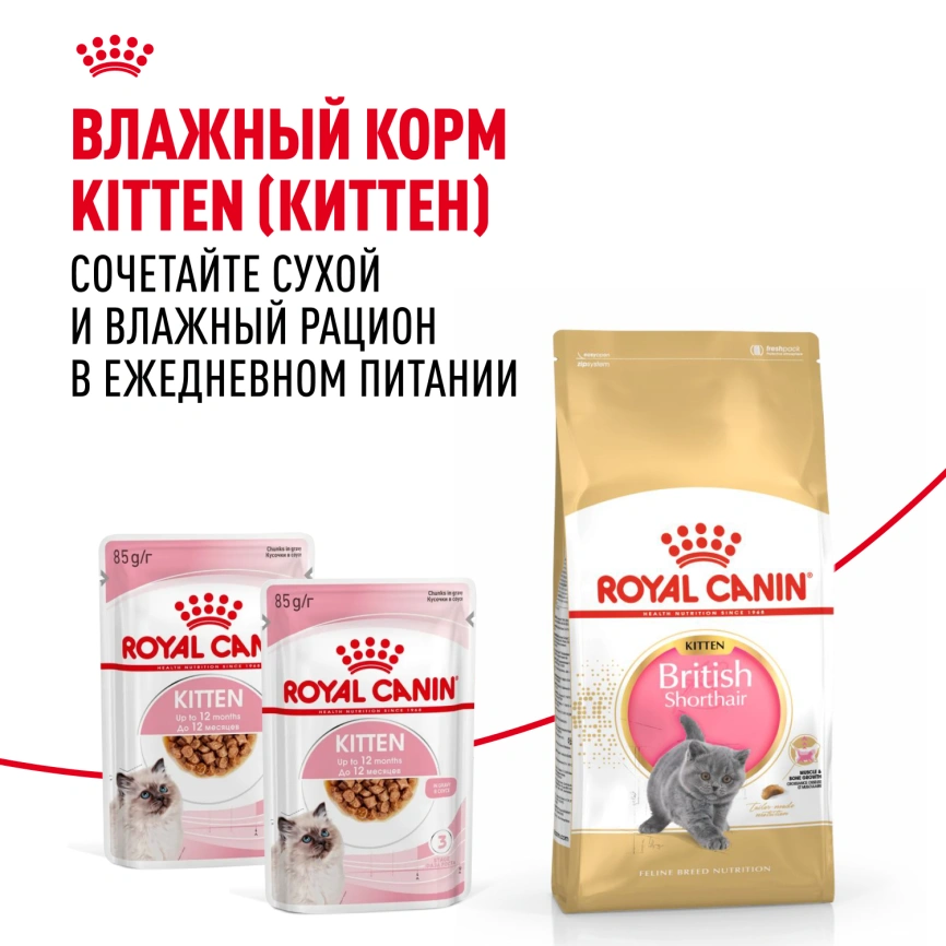 Сухой корм Royal Canin Kitten British Shorthair для котят, 10 кг фото 9
