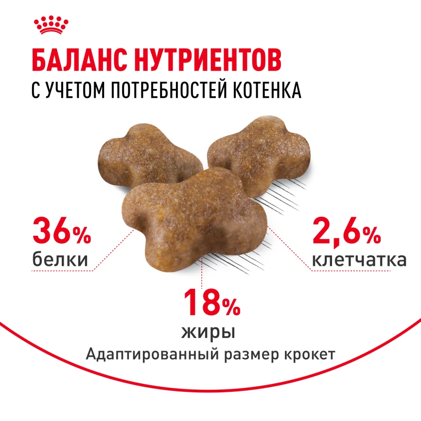 Сухой корм Royal Canin Kitten для котят, 1.2 кг фото 4