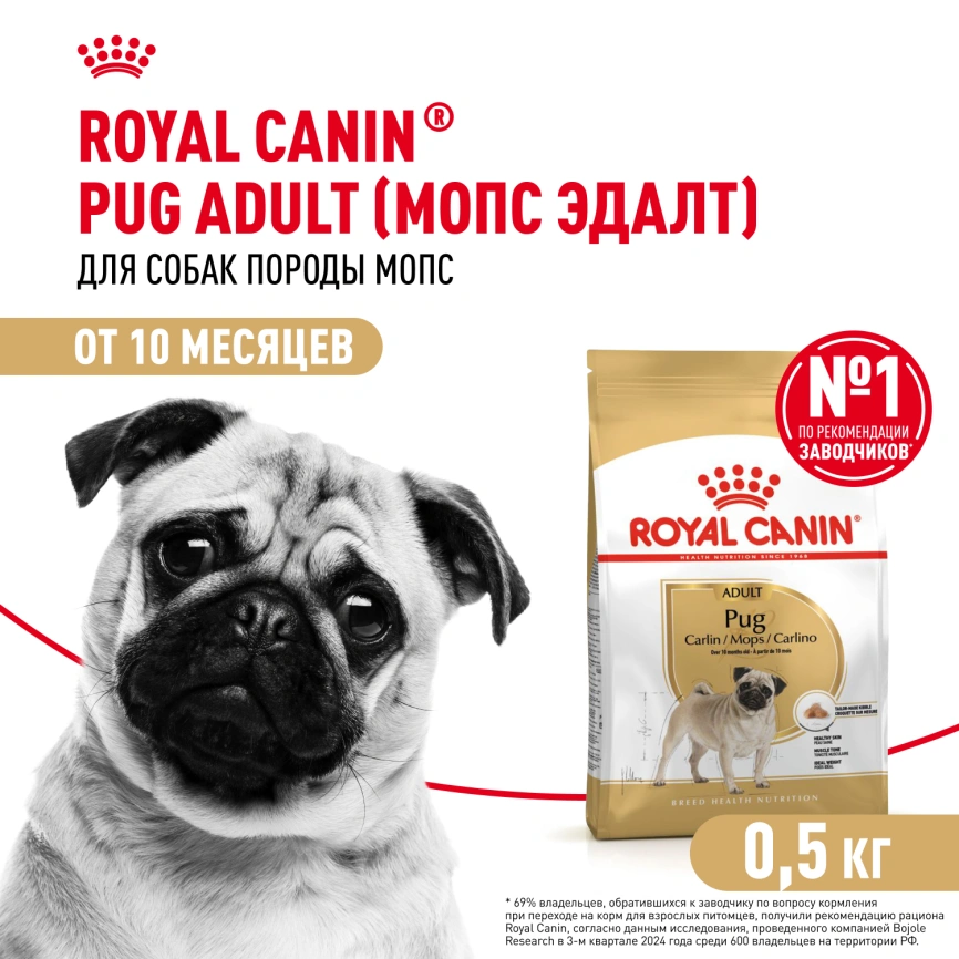 Сухой корм Royal Canin Pug Adult для взрослых собак, 500 г фото 1