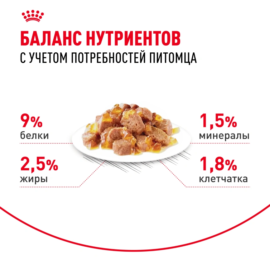 Влажный корм Royal Canin Sterilised в желе для стерилизованных кошек старше 1 года, пауч, 85 г фото 12