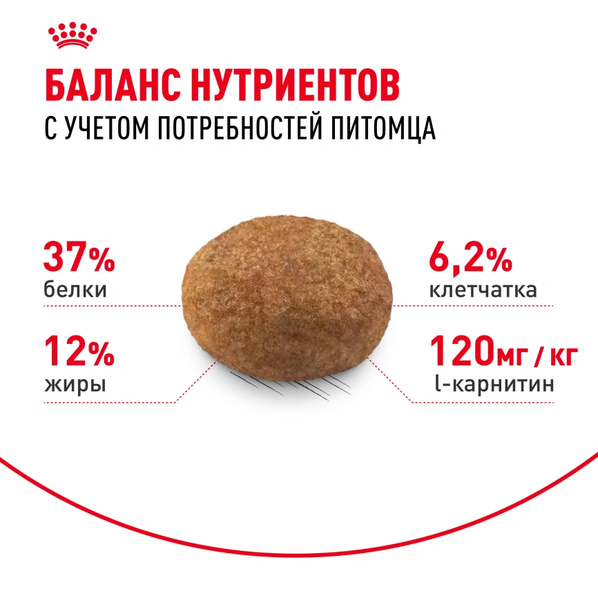 Сухой корм Royal Canin Sterilised для кастрированных котов и стерилизованных кошек, 1.2 кг фото 4