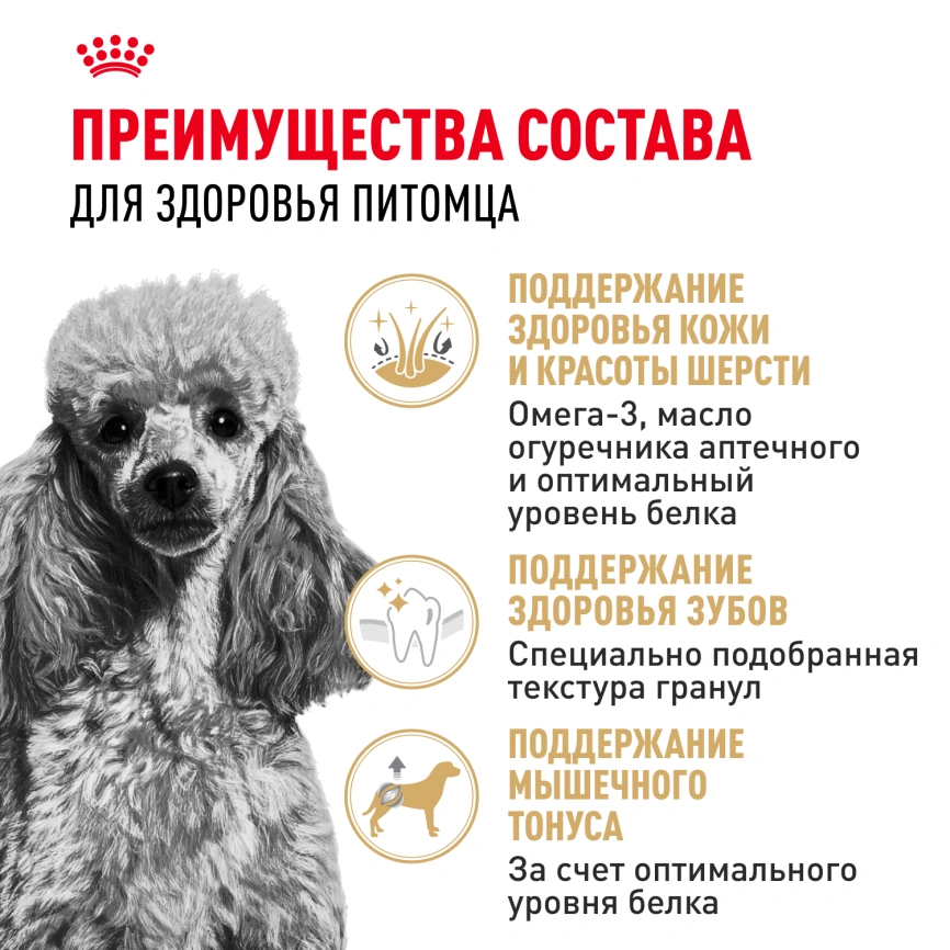 Сухой корм Royal Canin Poodle Adult для взрослых собак, 1.5 кг фото 2