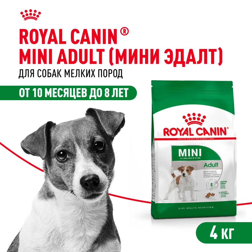 Сухой корм Royal Canin Mini Adult для взрослых собак, 4 кг фото 1