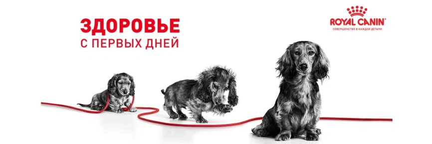 Сухой корм Royal Canin Maxi Puppy для щенков, 15 кг фото 17