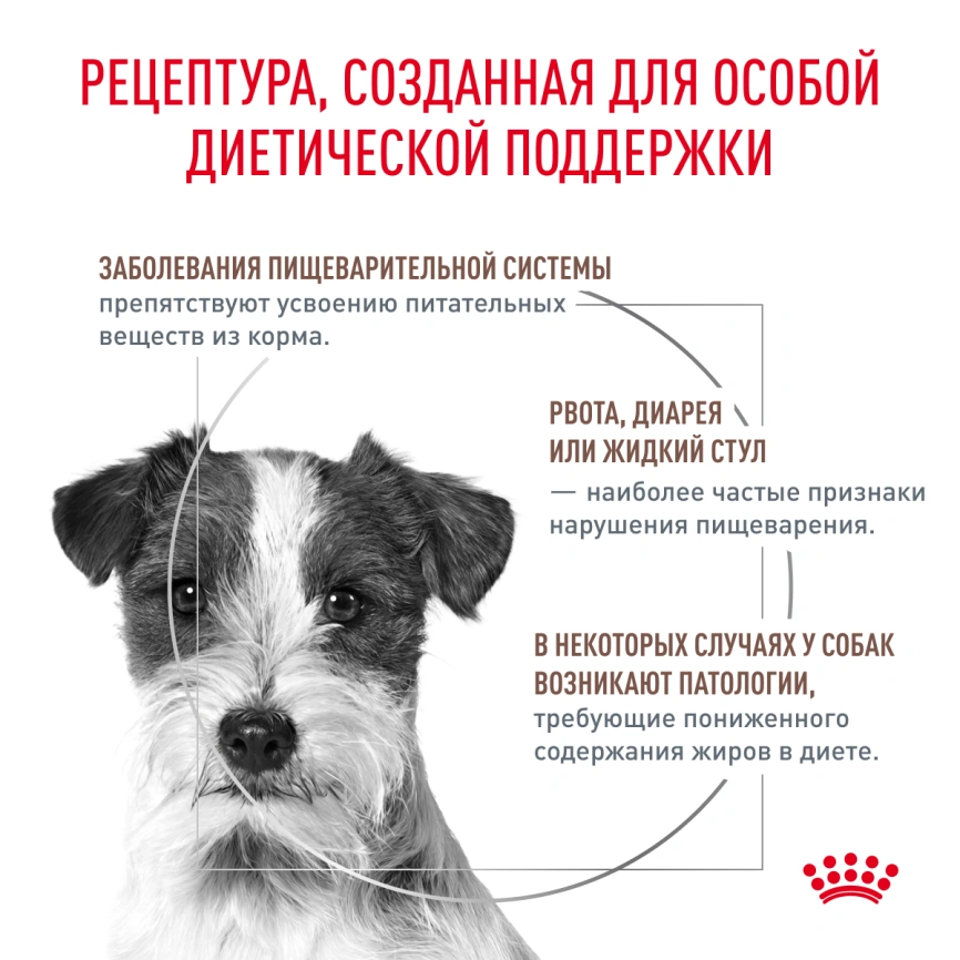Сухой корм Royal Canin Gastrointestinal Low Fat Small Dogs для собак, 3 кг фото 6